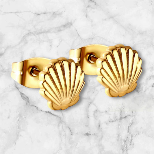 Seashell studs